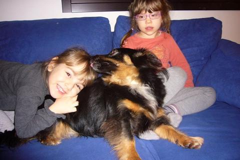Laika con le sue sorelline